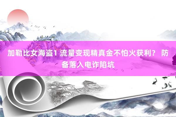 加勒比女海盗1 流量变现精真金不怕火获利？ 防备落入电诈陷坑