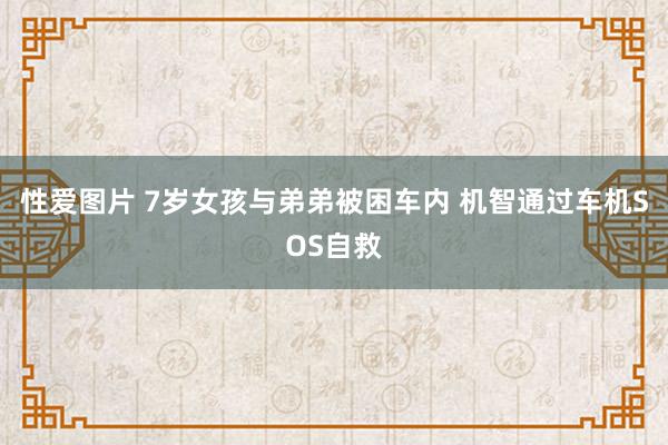 性爱图片 7岁女孩与弟弟被困车内 机智通过车机SOS自救