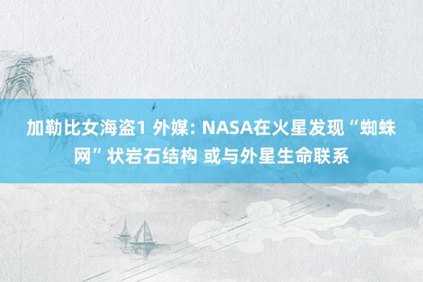 加勒比女海盗1 外媒: NASA在火星发现“蜘蛛网”状岩石结构 或与外星生命联系