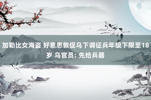 加勒比女海盗 好意思敦促乌下调征兵年级下限至18岁 乌官员: 先给兵器