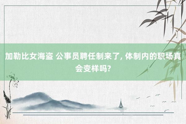 加勒比女海盗 公事员聘任制来了， 体制内的职场真会变样吗?